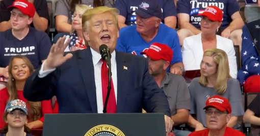 Donald Trump’s America