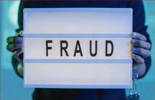 The H-1B visa fraud network